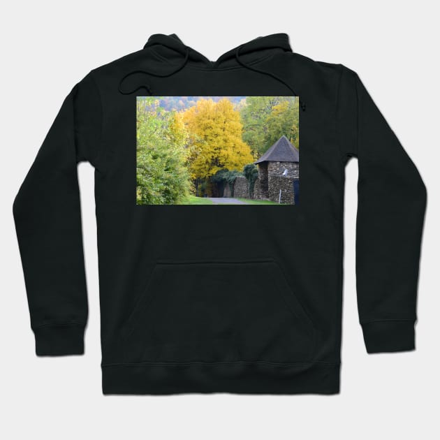 A castle in autumn Hoodie by Roland69